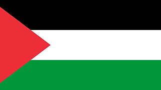 Palestine - Convention on the Rights of Persons with Disabilities Treaty