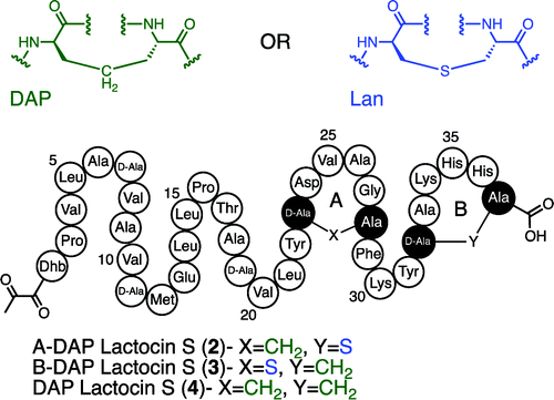 2012-JACS-Fig2.gif