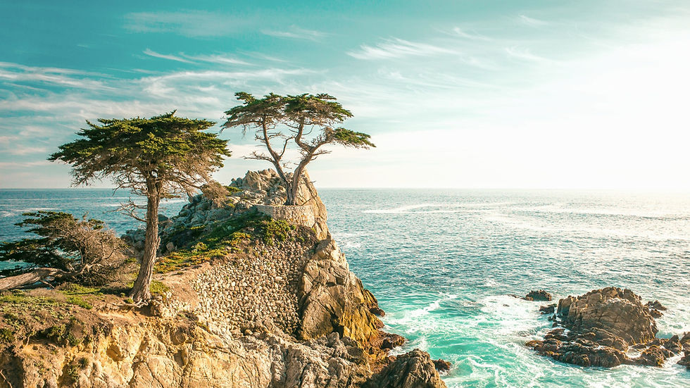 Cypress%20Point_edited.jpg