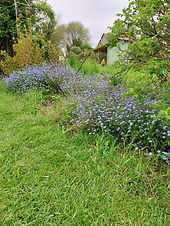 20240508_154500.jpg