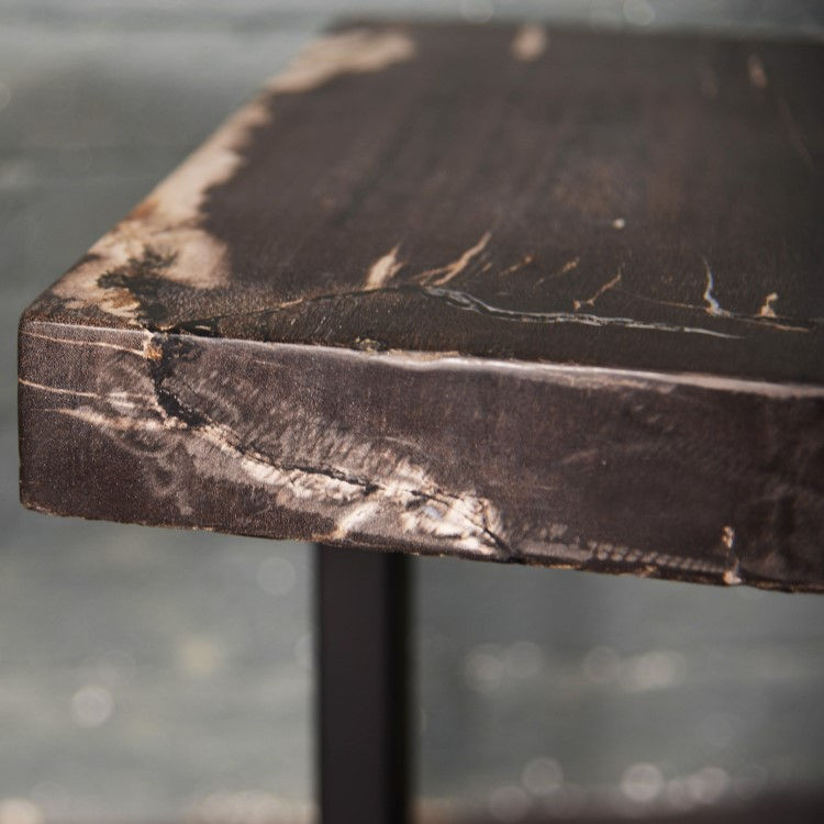 Thumbnail: PETRIFIED WOOD side table