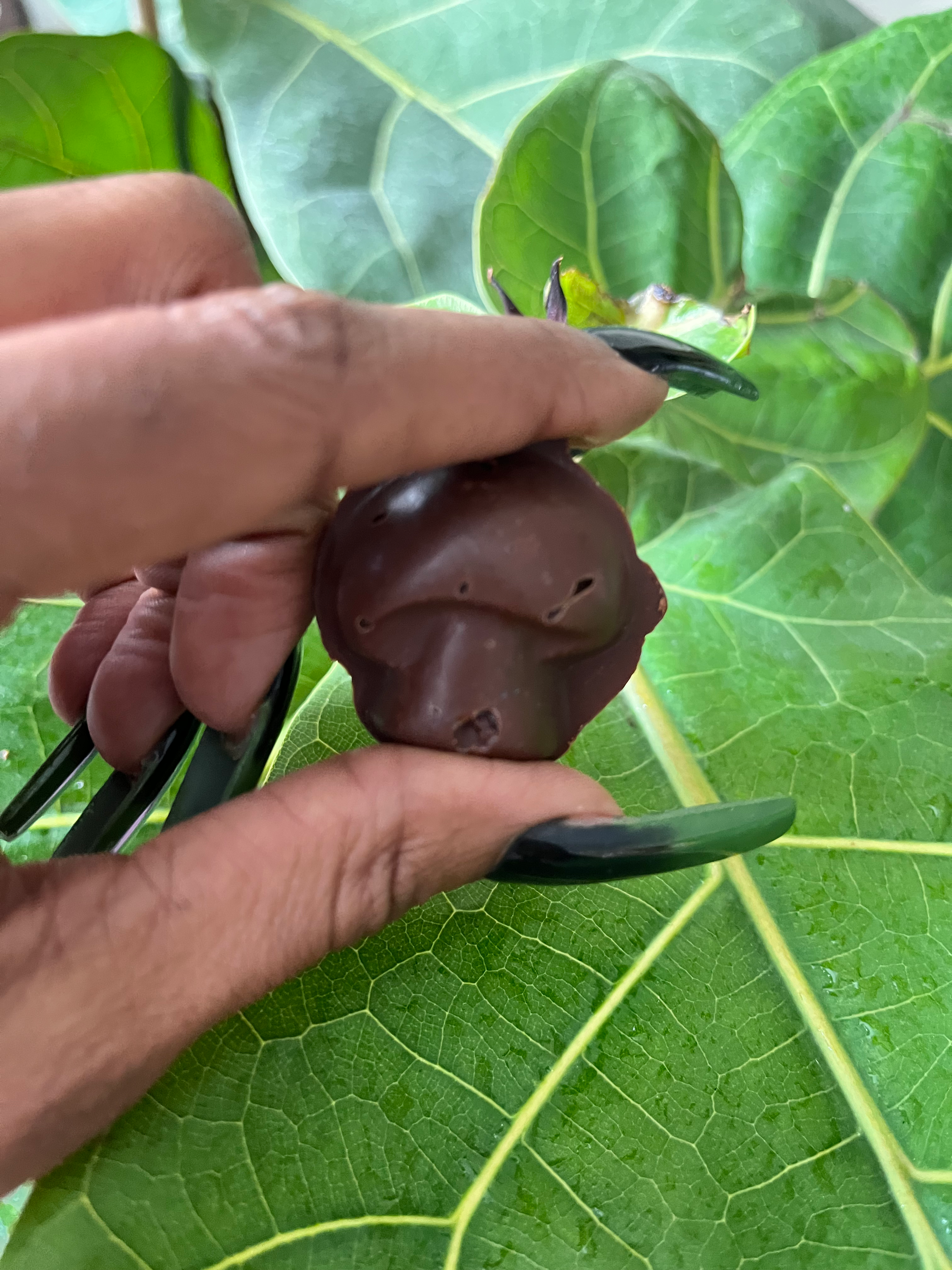 28 pack elevate chocolate  