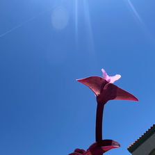 Call and Response - ​Stacie Birky Greene and
Madeline Arnault