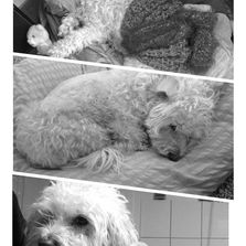 Call and Response - Ilke Ilter and Resha