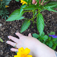 Call and Response - Annie Clavel and Jade Goegebuer