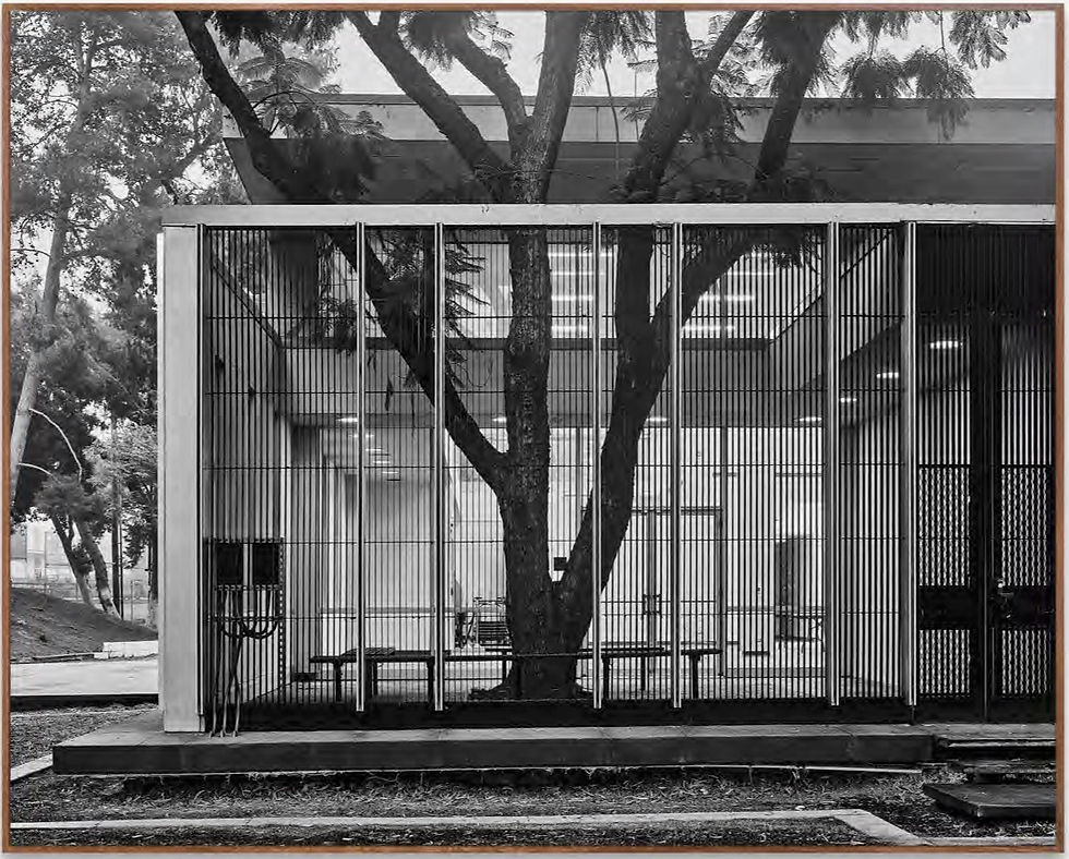 Fullerton Public Library, Hunt Branch #5