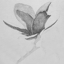 Call and Response - Ilke Ilter and Shloka Shankar