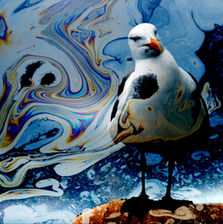 Call and Response Art - April Bermudez and Ryan Cheney