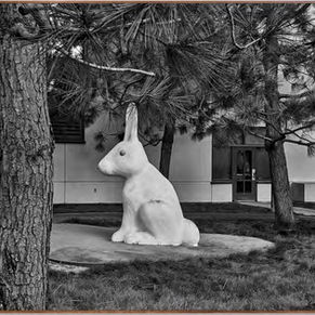 No Dust to Settle: Amir Zaki at Diane Rosenstein Gallery