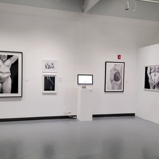 "Perceive Me" at Mesa College Art Gallery March/April 2023 
San Diego, CA