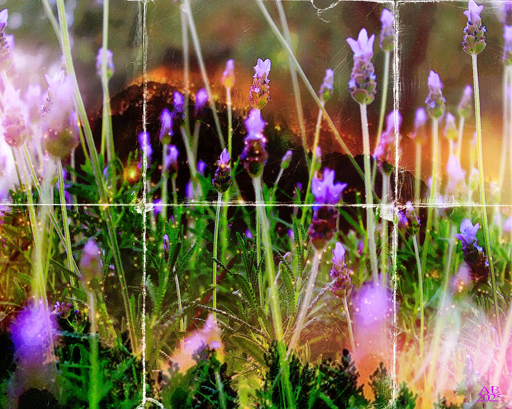 9_April Bermudez_One Last Look.jpeg