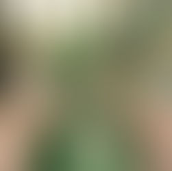 50 Over 50: Your Viewpoint Is Needed - Carmen Dominguez's Woven Paper