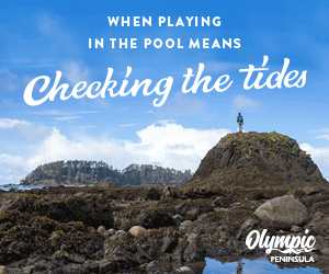 Checking_the_Tides_300x250 copy