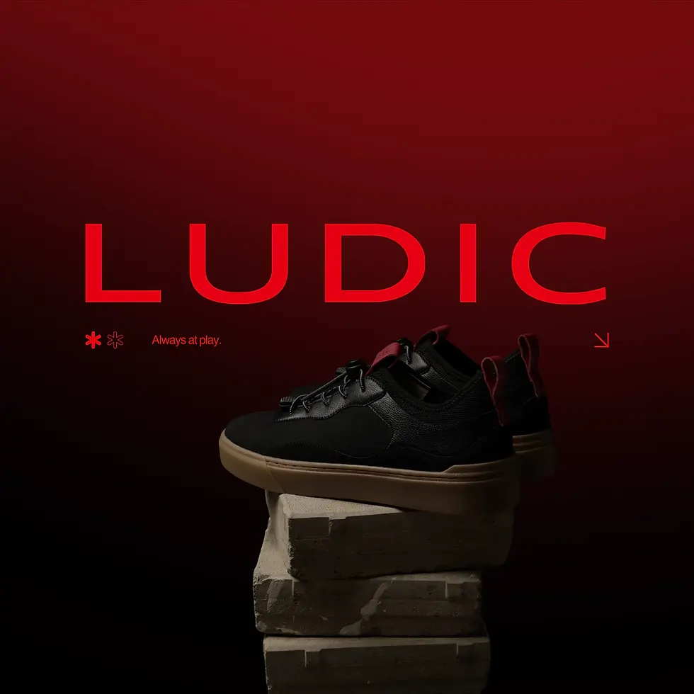 Ludic Rebranding by StudioDraft