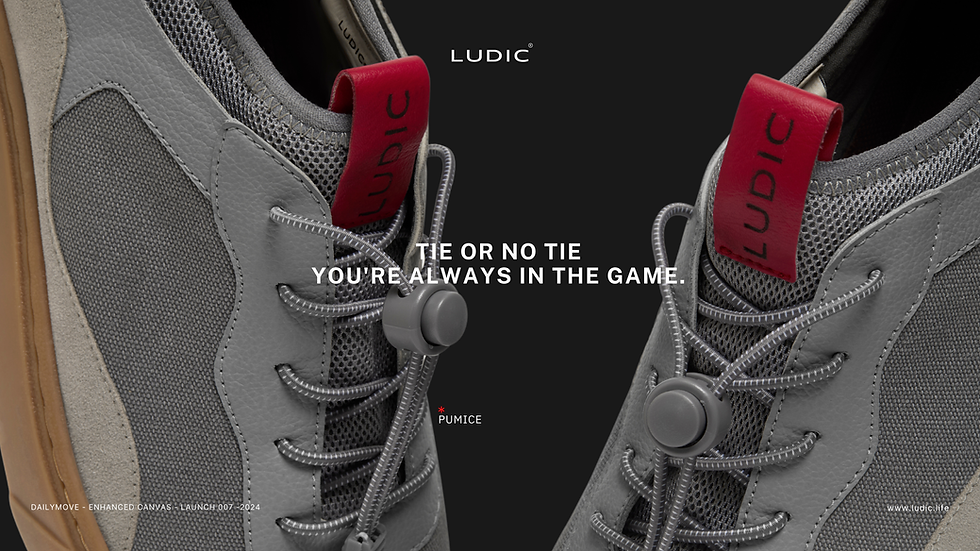 Ludic Rebranding By StudioDraft | Global Specialist Branding / Rebranding Studio