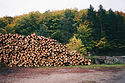 Stapel von Wald Protokolle