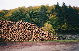 Wood is natures renewable energy resource readily available
