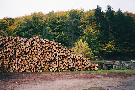 Image-empty-state.png