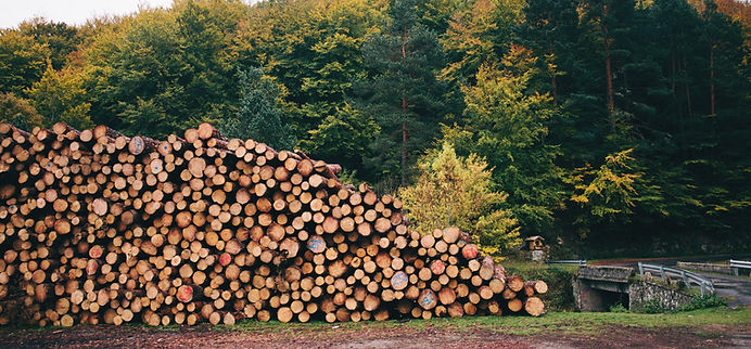 Kaminholz Dortmund, Kaminholz, Holzwärme & Co, Stapel von Wald Protokolle