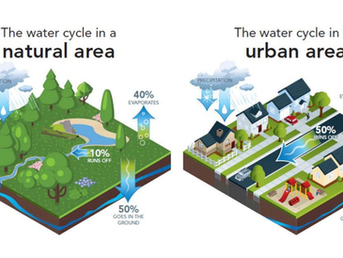 Sustainable Water Management: The importance of moisture recycling to the water security of a country
