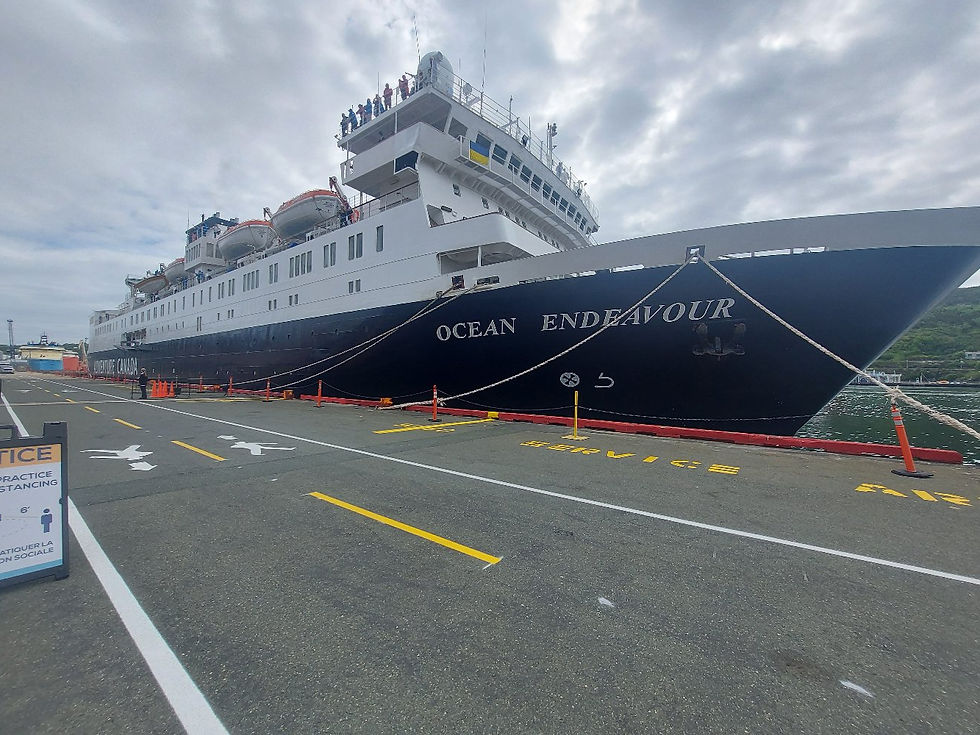 Cruise Ship Cleaning - F.K. Warren