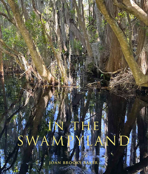 Baker.SWAMPYLAND.Cover.jpg