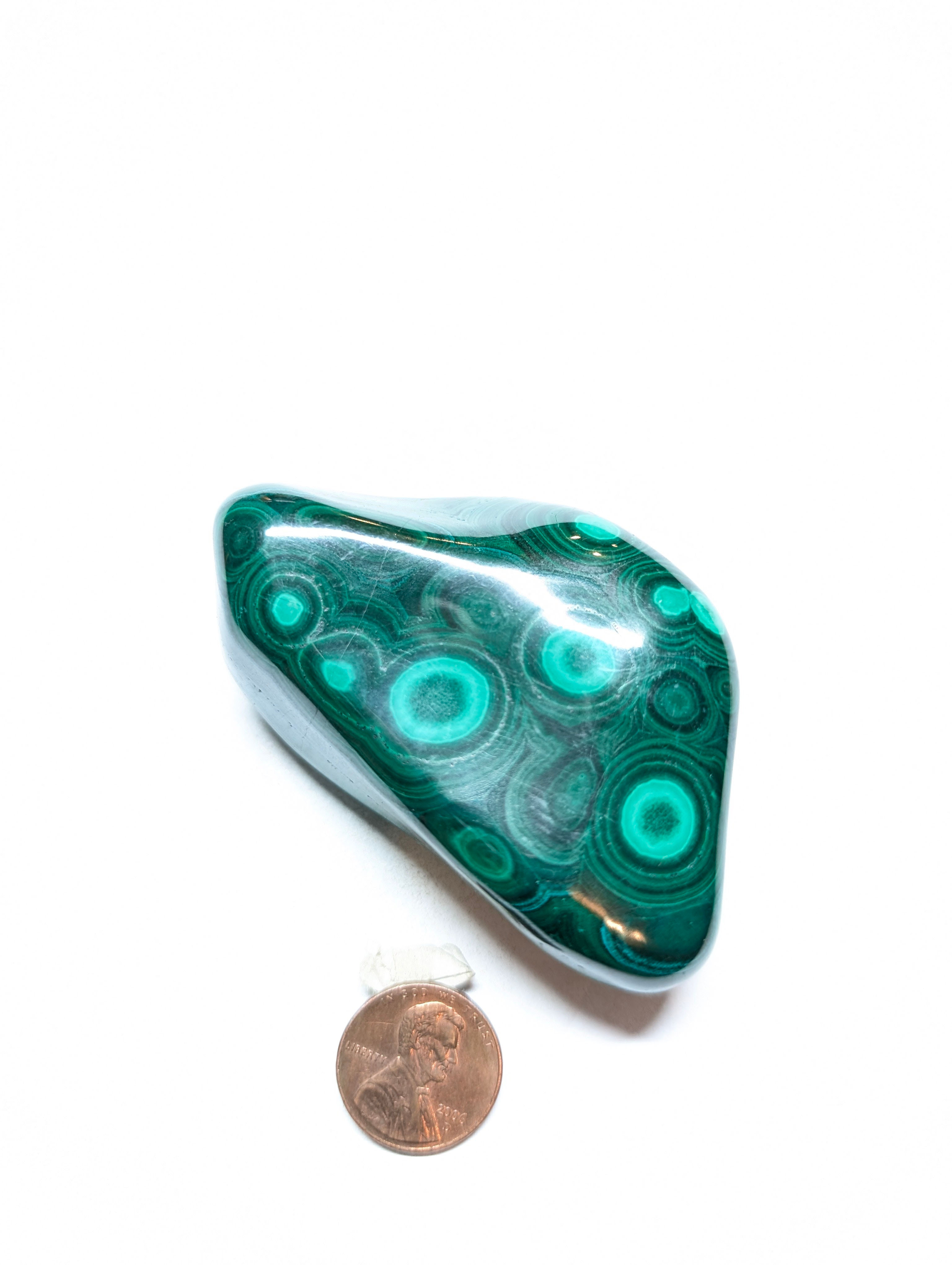 Malachite Palm Stone | Natural Healing Crystal for Transformation & Protection