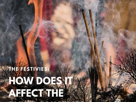 The Festivities : How Does it Affect the Environment?