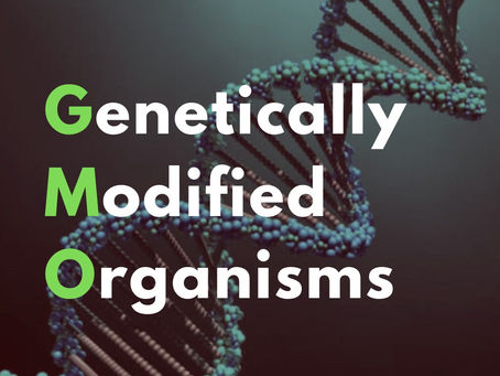 How do GMOs impact our environment? Evaluating the significance of genetic engineering in the world