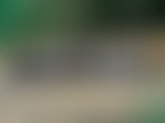 Grupo Botta promove momento especial em celebração ao Mês da Mulher