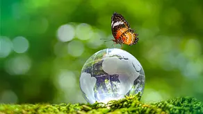 Dia da Terra: Grupo Botta reforça compromisso com sustentabilidade e meio ambiente