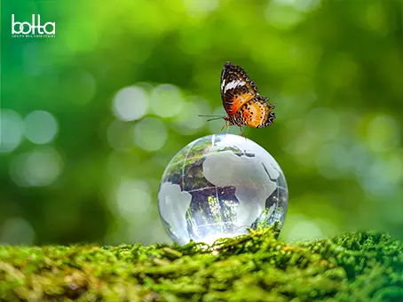 Dia da Terra: Grupo Botta reforça compromisso com sustentabilidade e meio ambiente