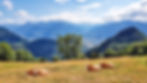 leysin free camping switzerland