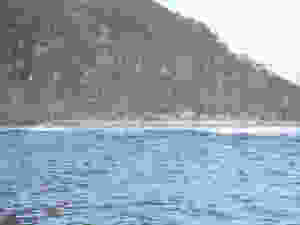 Damaged Seawall