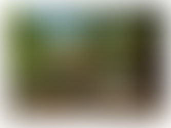 Ανακοίνωση Εκκλησιαστικής επιτροπής Περίστας