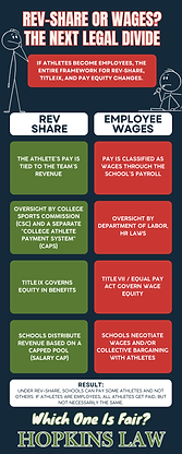 Colorful Soft and Rounded Comparison Infographic (2).png