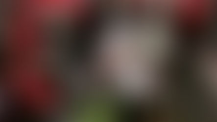 Texas vs. Ohio State 2005 - Vince Young tackled by Ohio State defenders