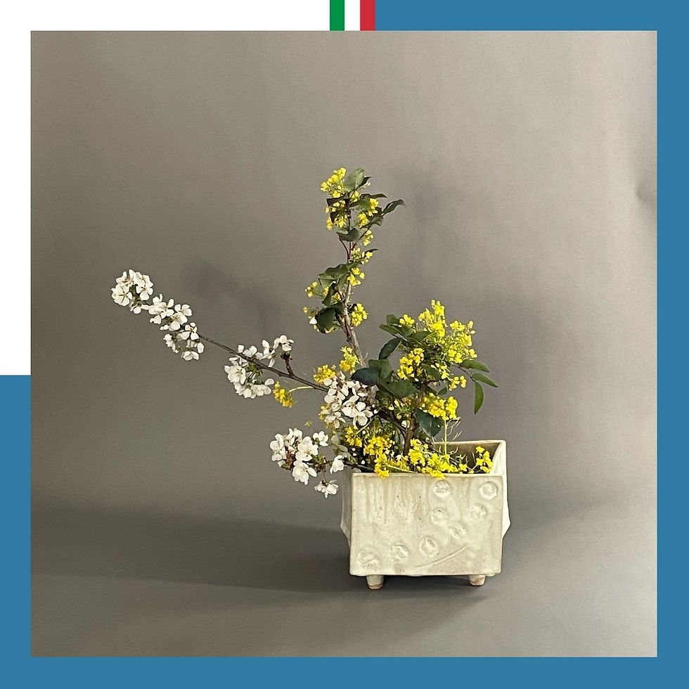 NEICLA CAMPI