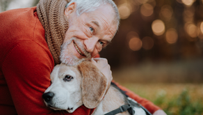 How Pet Therapy Enriches the Lives of Older Adults: Their Unconditional Love Inspires Purpose, Engagement & Critical Health Benefits
