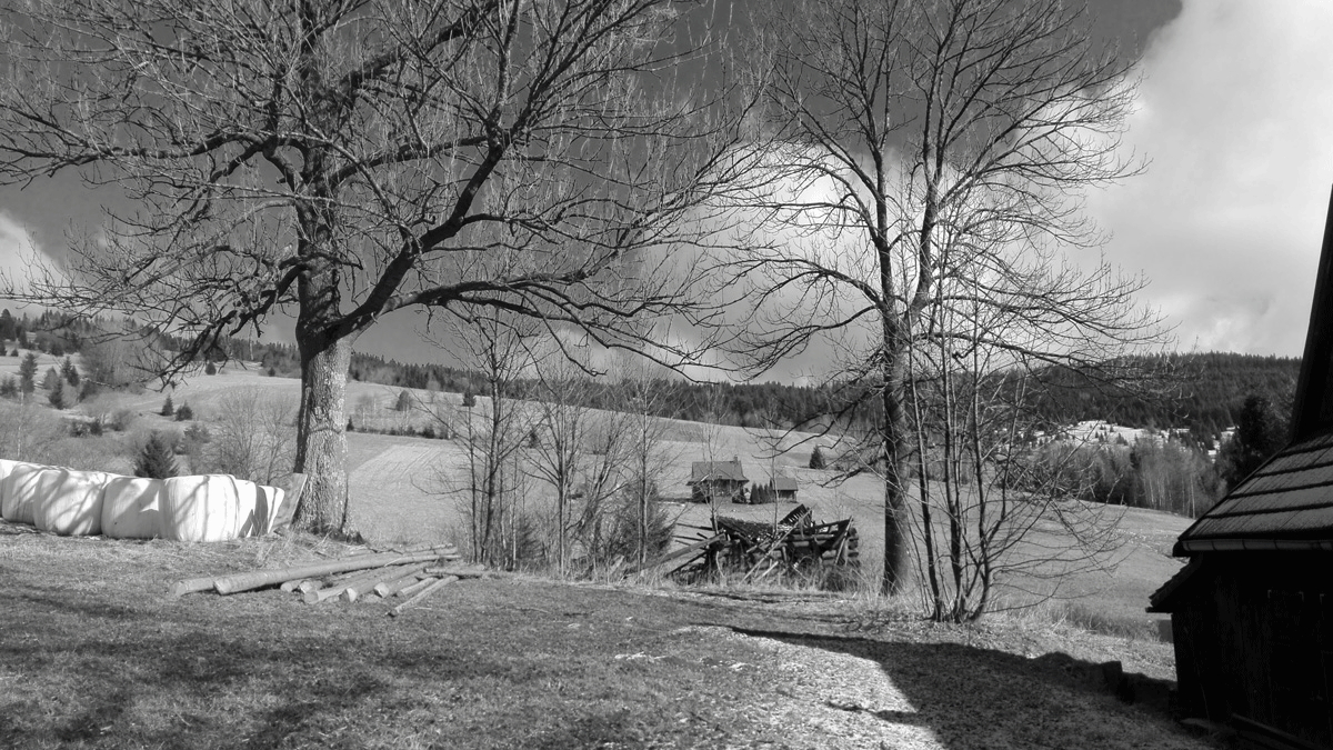 RODINNÝ DOM - DREVENICA - ŽDIAR