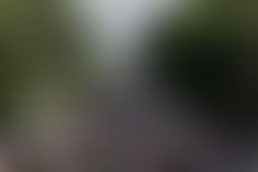 8 steps to creating racial justice portfolios