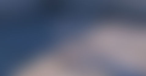 Will Amazon Have our Whole Wallet? The Disruption of Grocery Shopping as We Know It