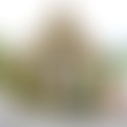 Chiang Mai, Thailand