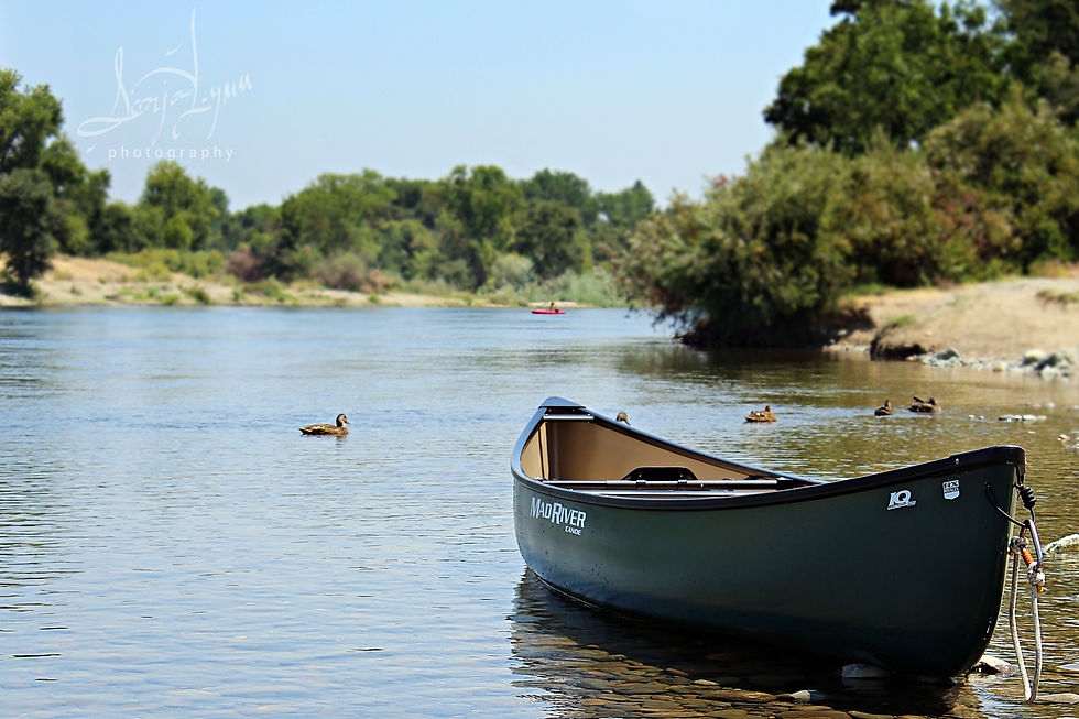 American River Sacramento