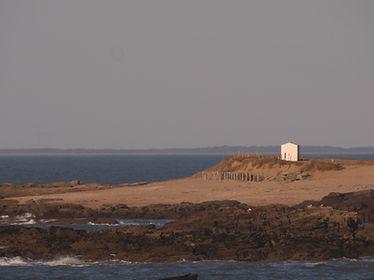P3140340.jpg