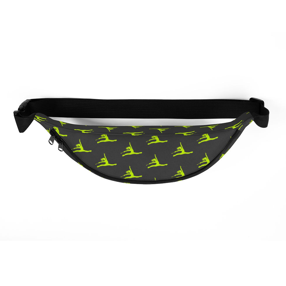 Thumbnail: EPIC Fanny Pack