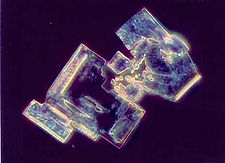 energised-water-schweitzer-2.jpg