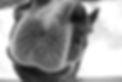 _DSC2944.jpeg
