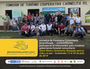 Iniciativa de Forestería Comunitaria Diversificada – ASOCAPRICHO participa en intercambio