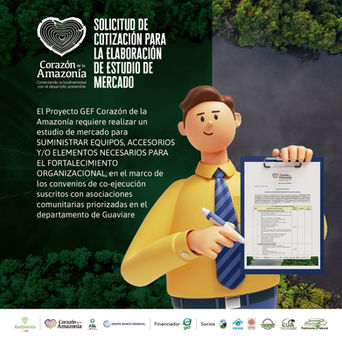 Solicitud de cotización para elaboración de estudio de mercado
